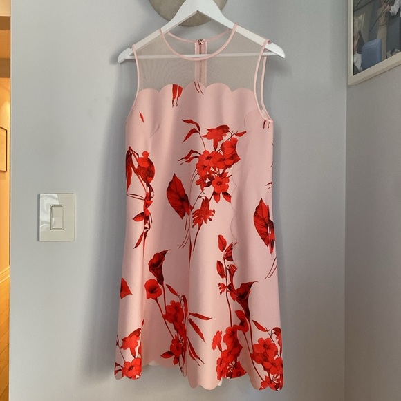 Ted Baker Jaazmin Fantasia Scallop Mini Dress Mesh Red Pink Floral Size 6 - Picture 5 of 14